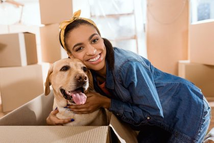 Why moving home can affect your dog's eating habits